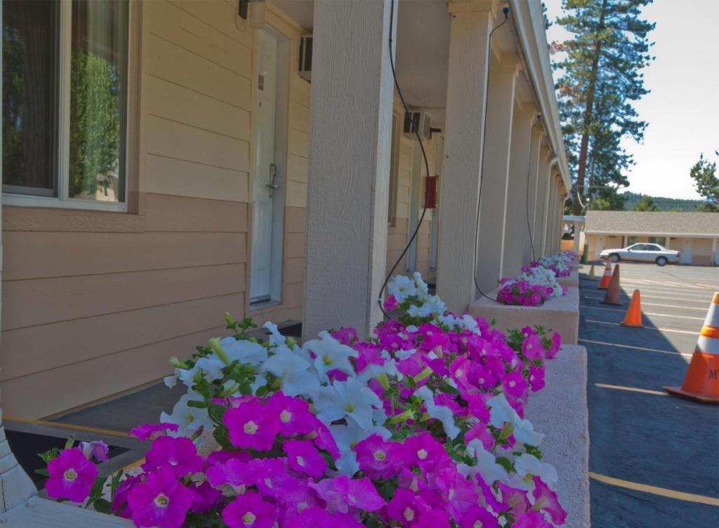 Shasta Pines Motel & Suites Burney Kültér fotó