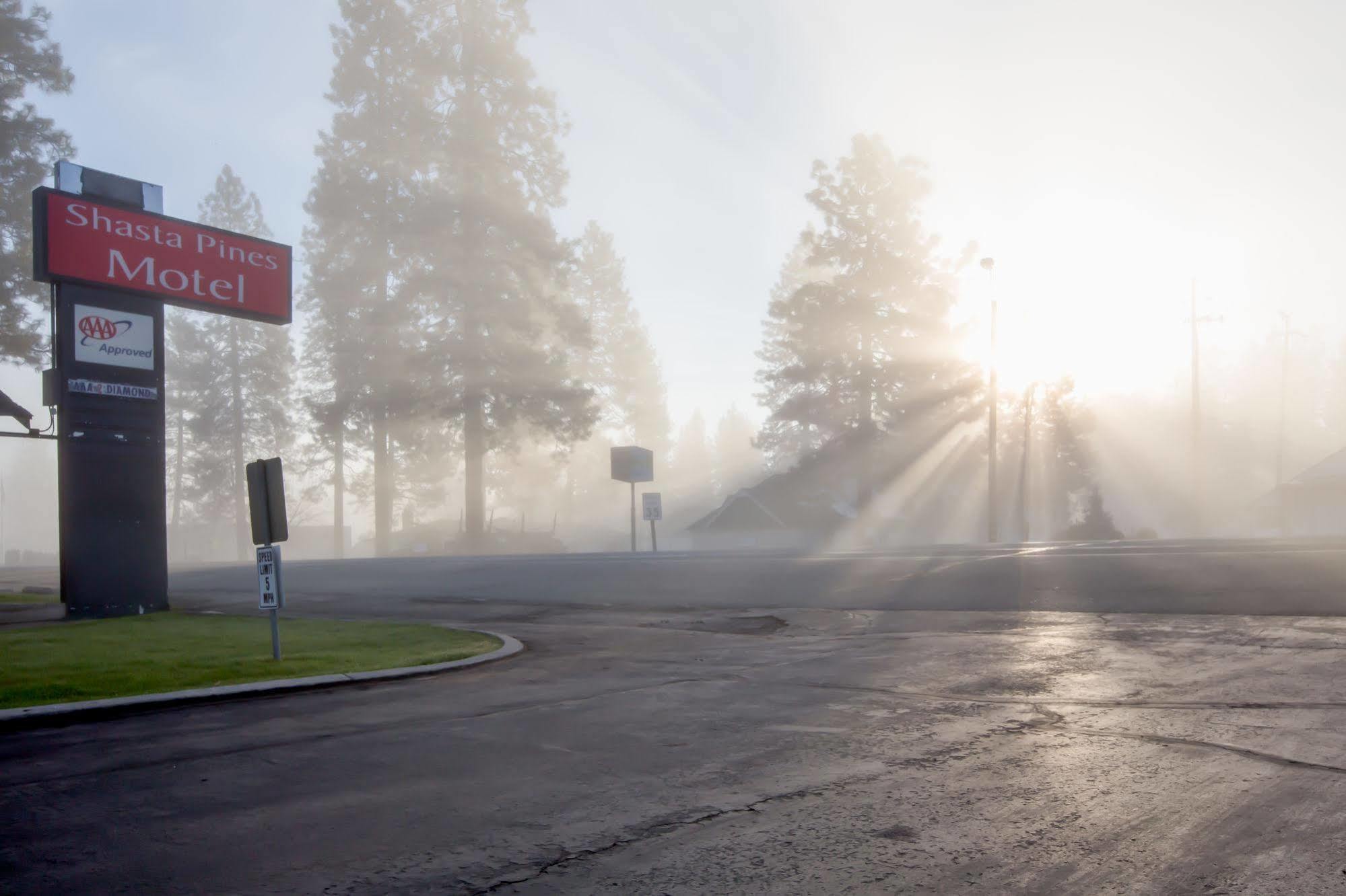 Shasta Pines Motel & Suites Burney Kültér fotó